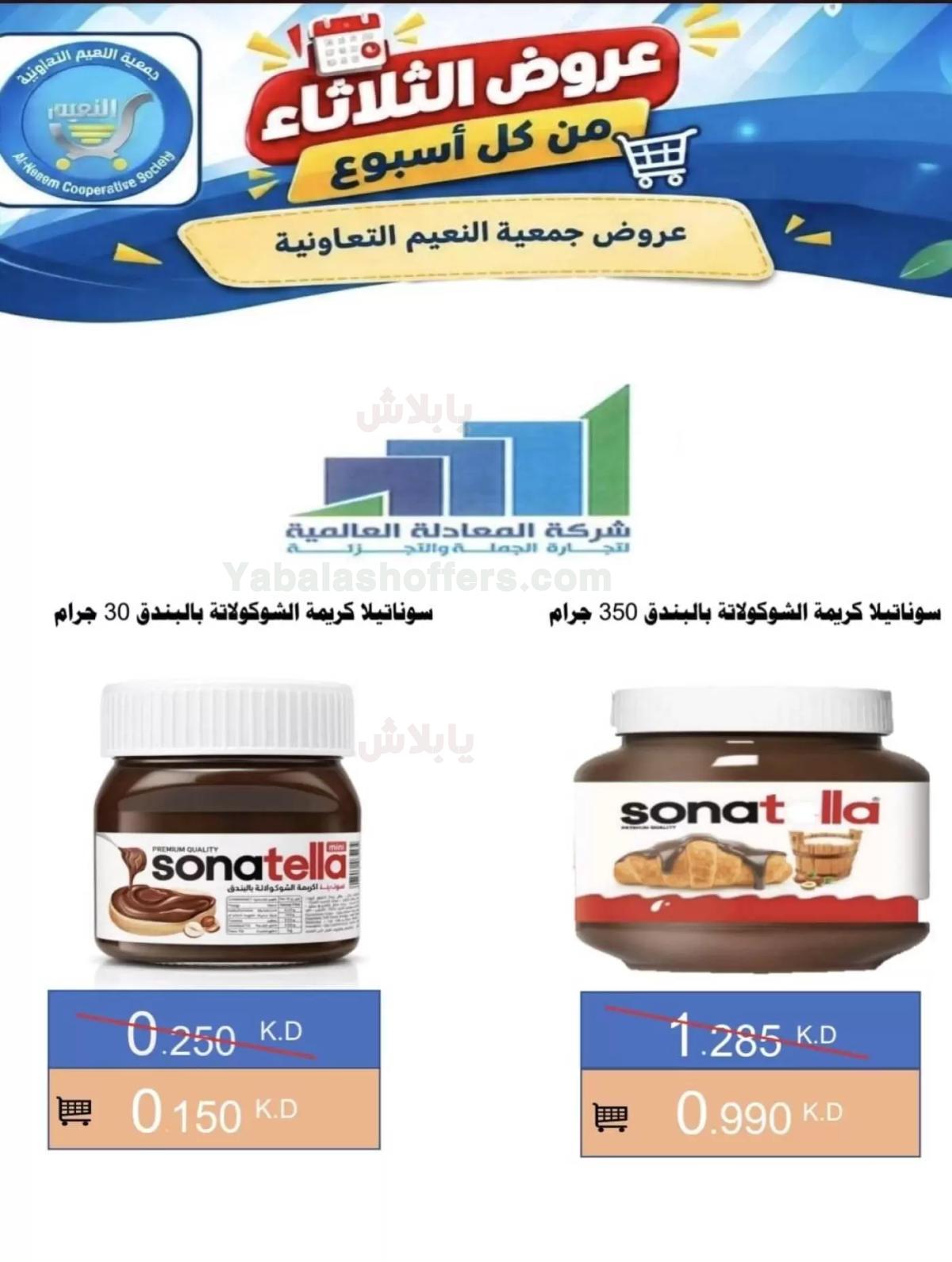 صفحة 13