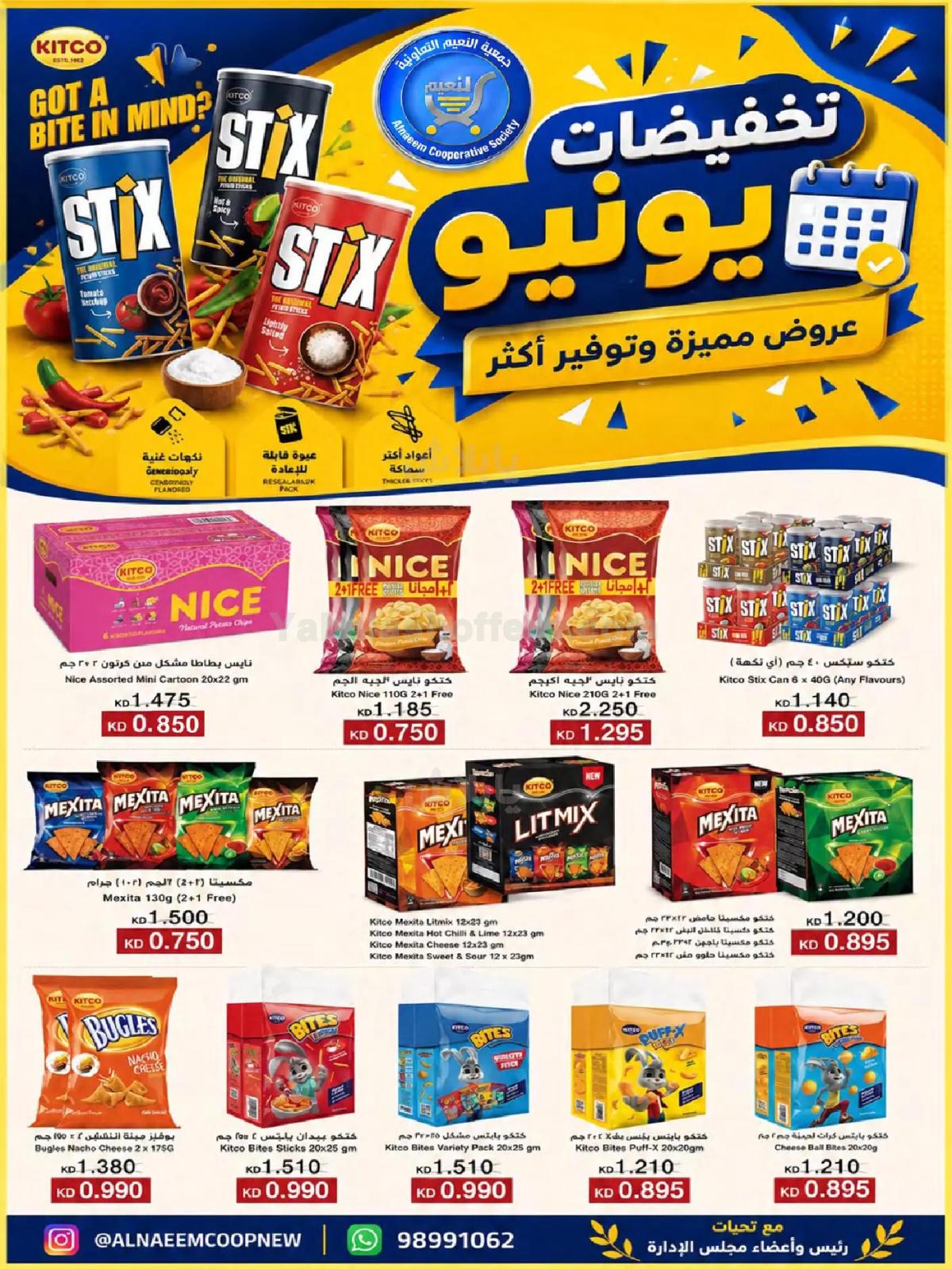 صفحة 13
