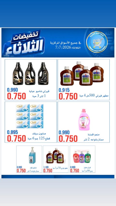 صفحة 13