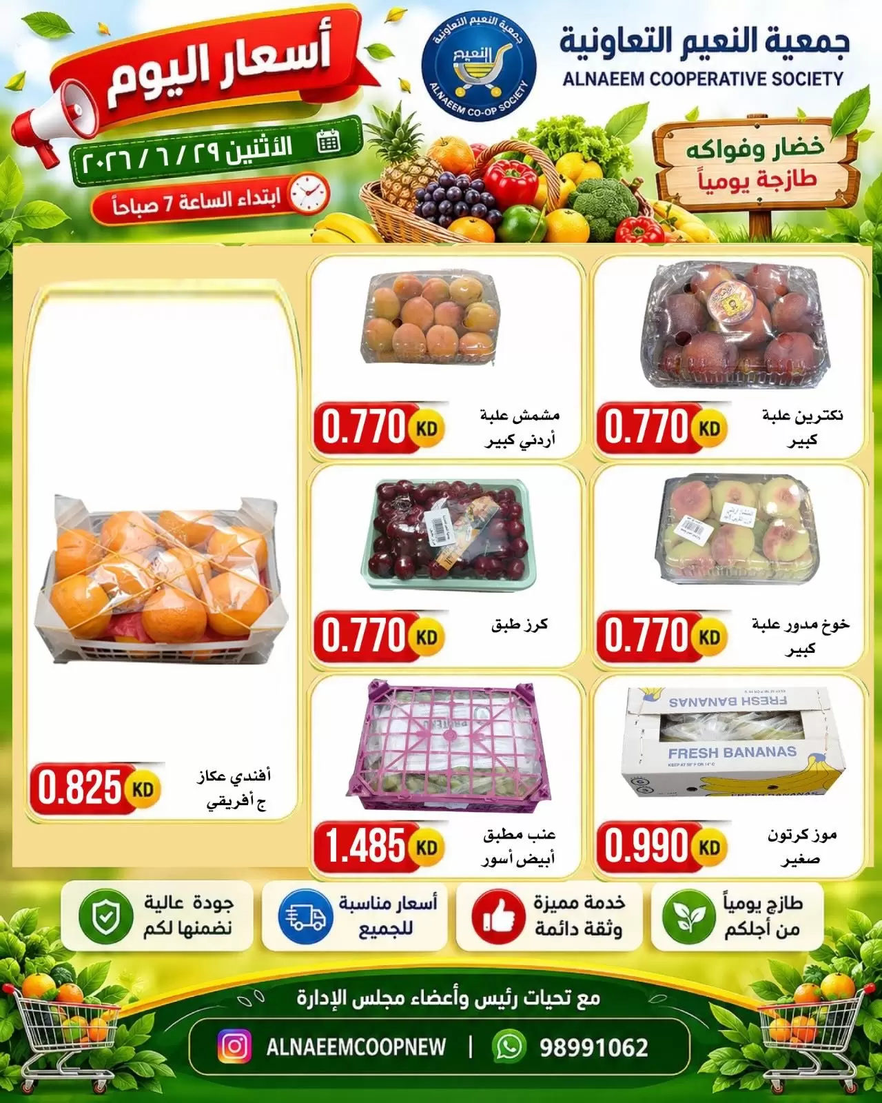 صفحة 4