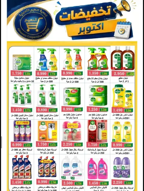 صفحة 13