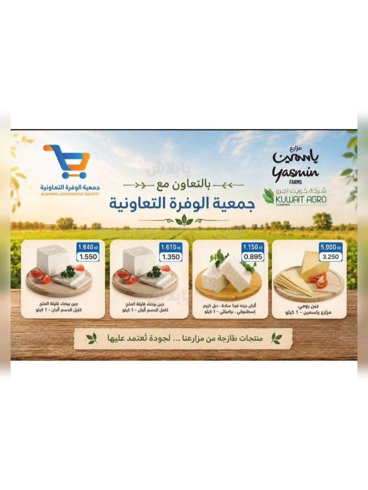 صفحة 7