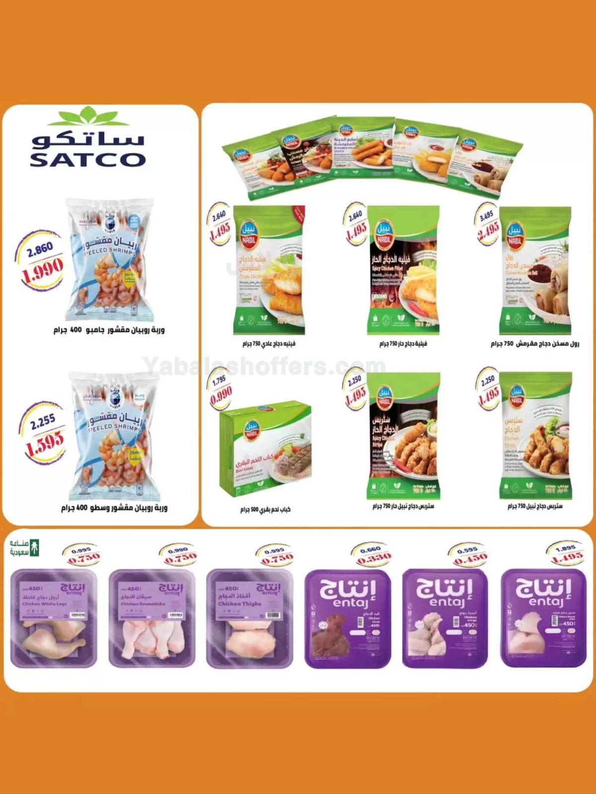 صفحة 4