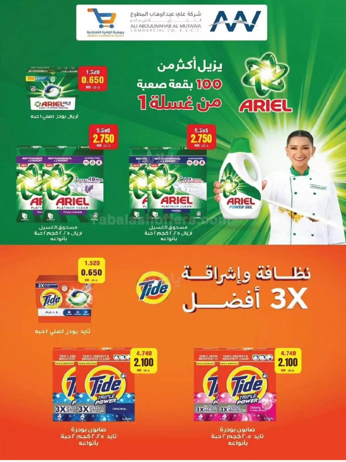 صفحة 17