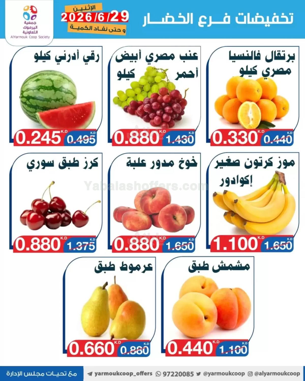 صفحة 4