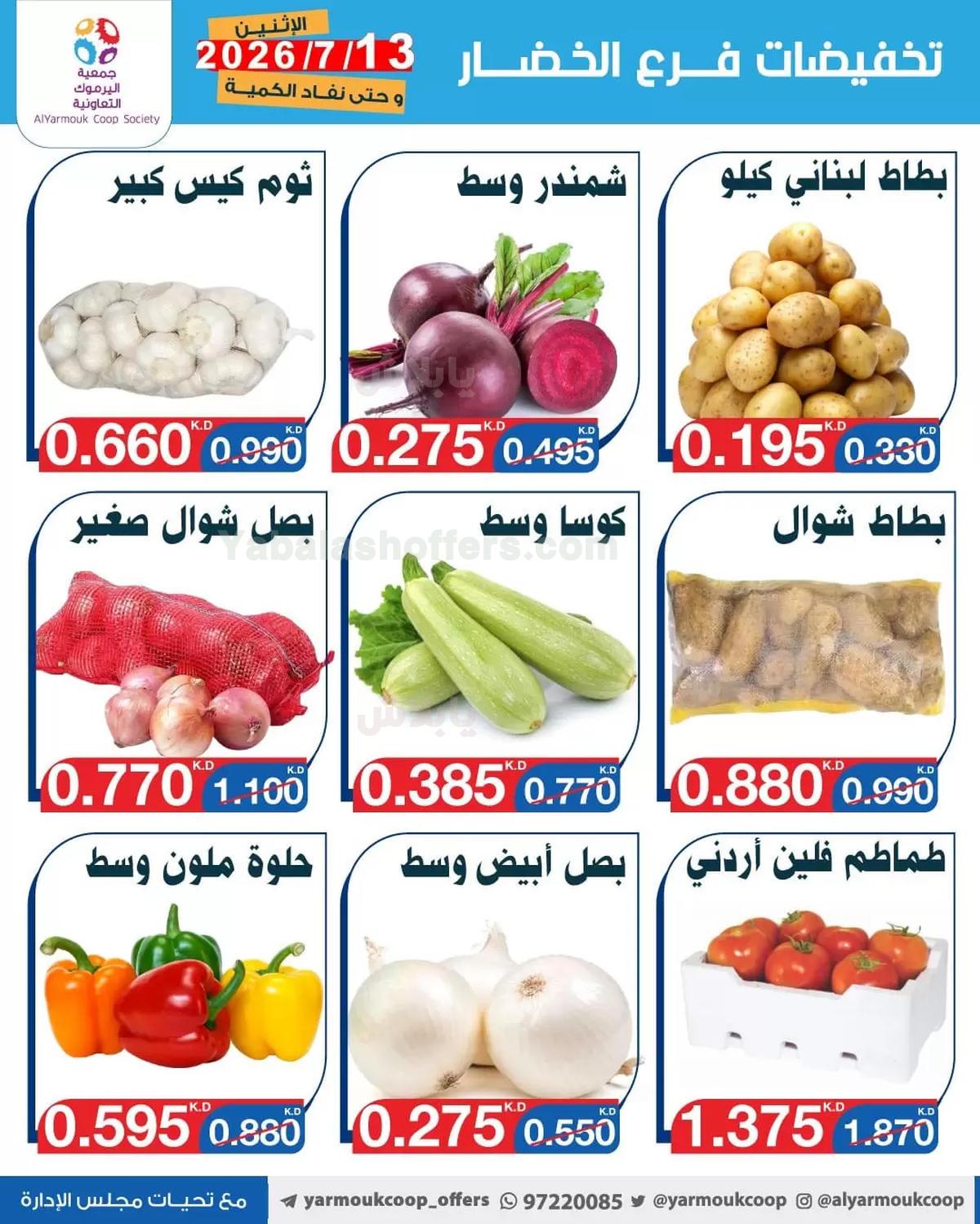صفحة 17