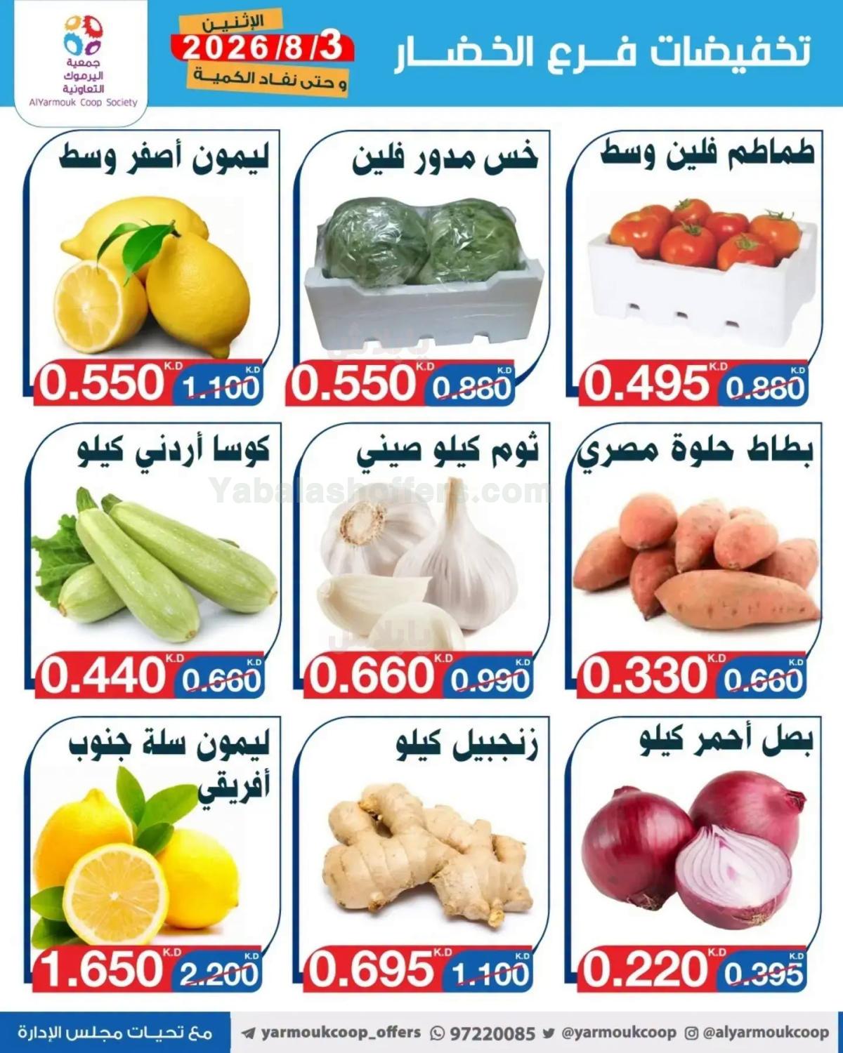 صفحة 3