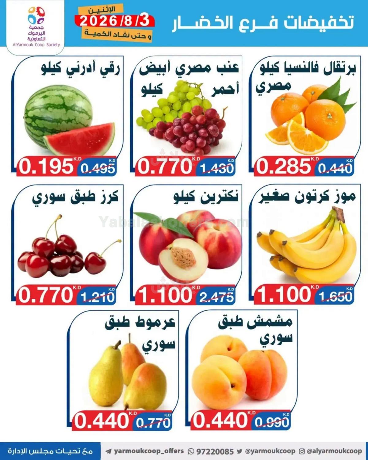 صفحة 4