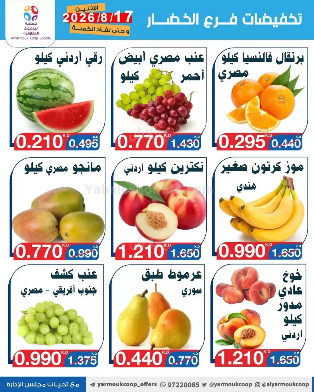 صفحة 4