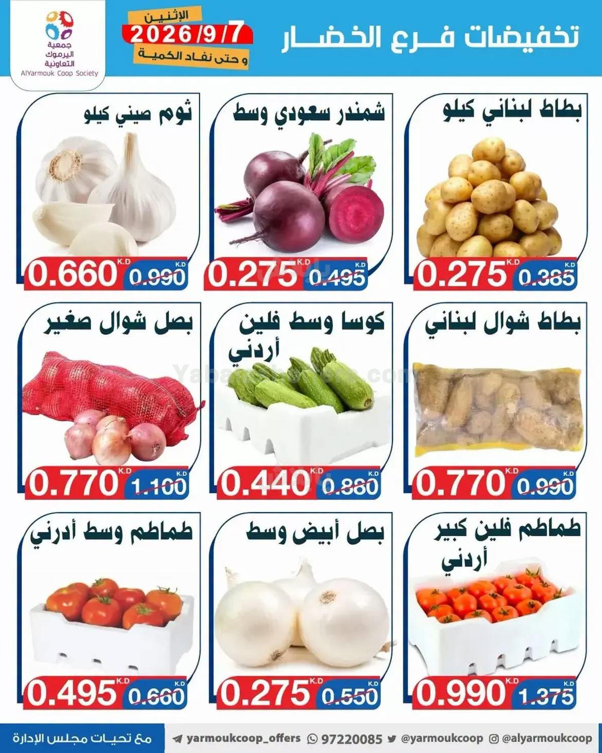 صفحة 3