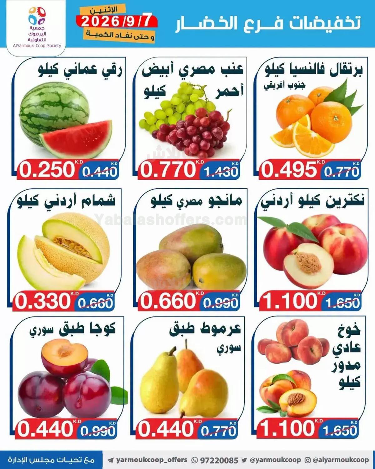 صفحة 4