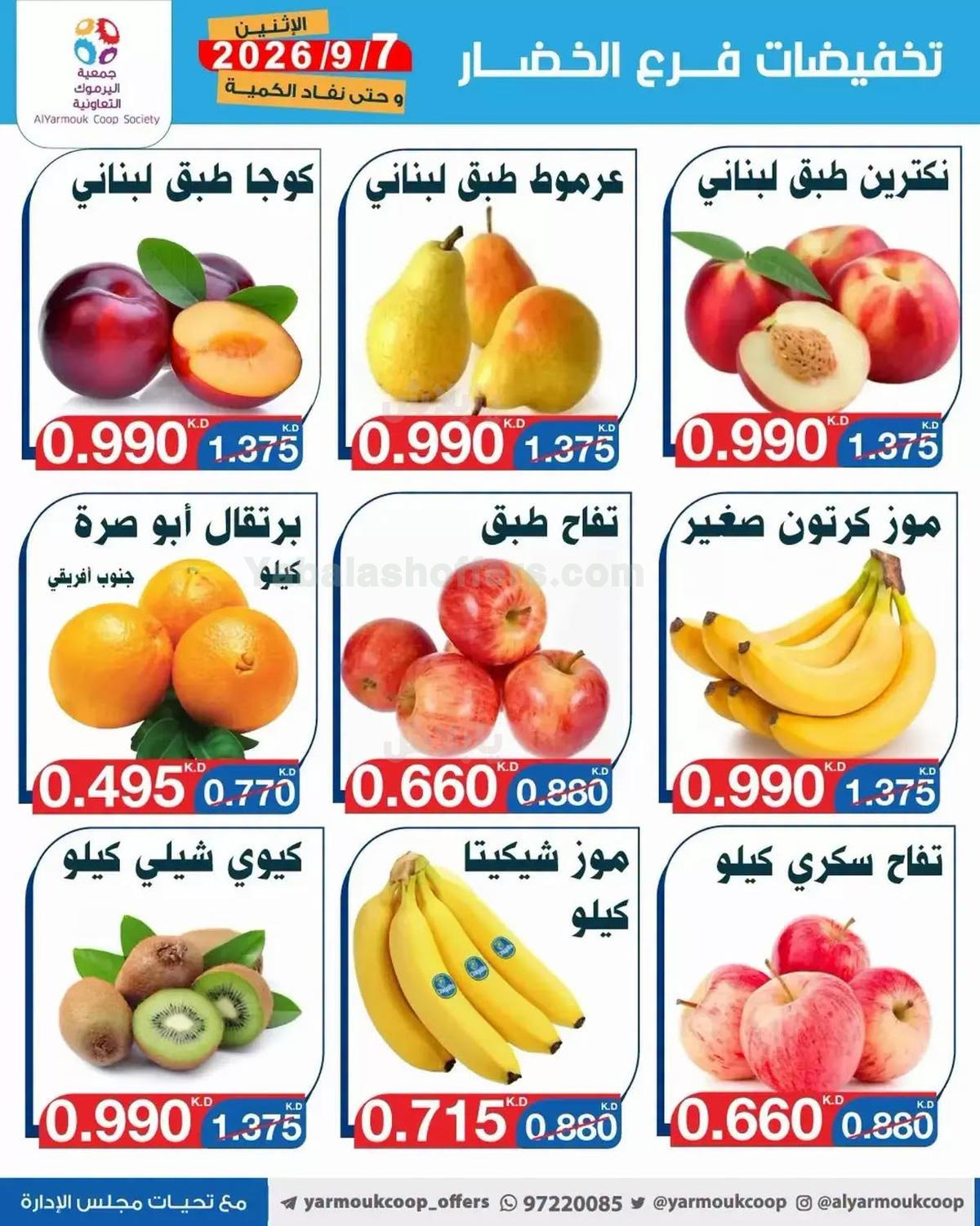 صفحة 5