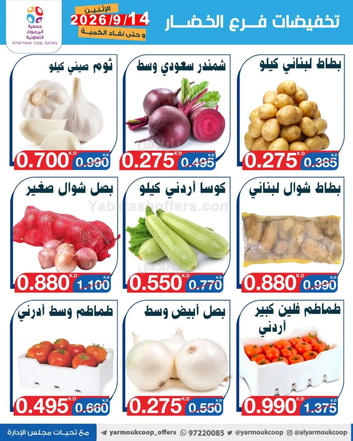 صفحة 3