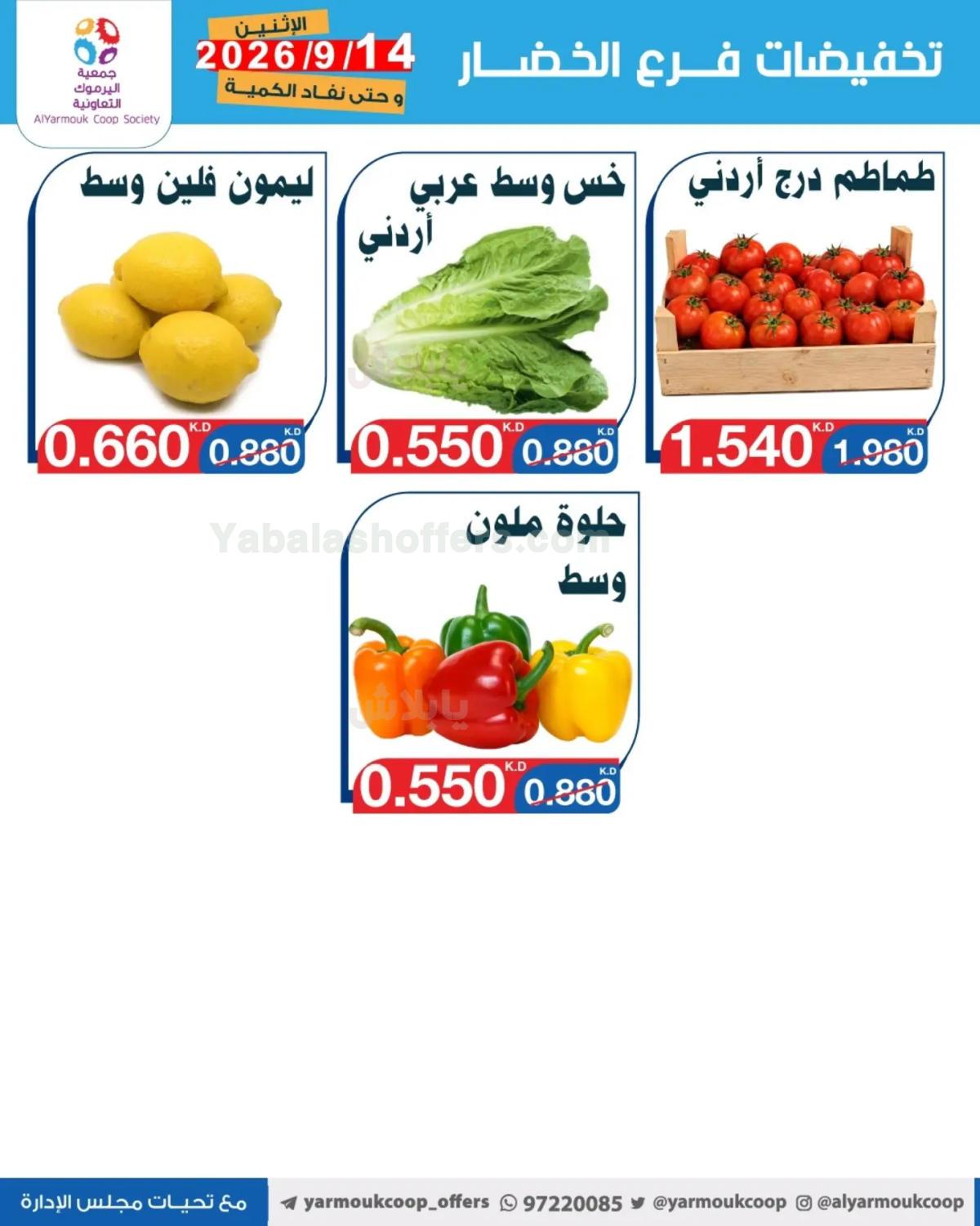 صفحة 4