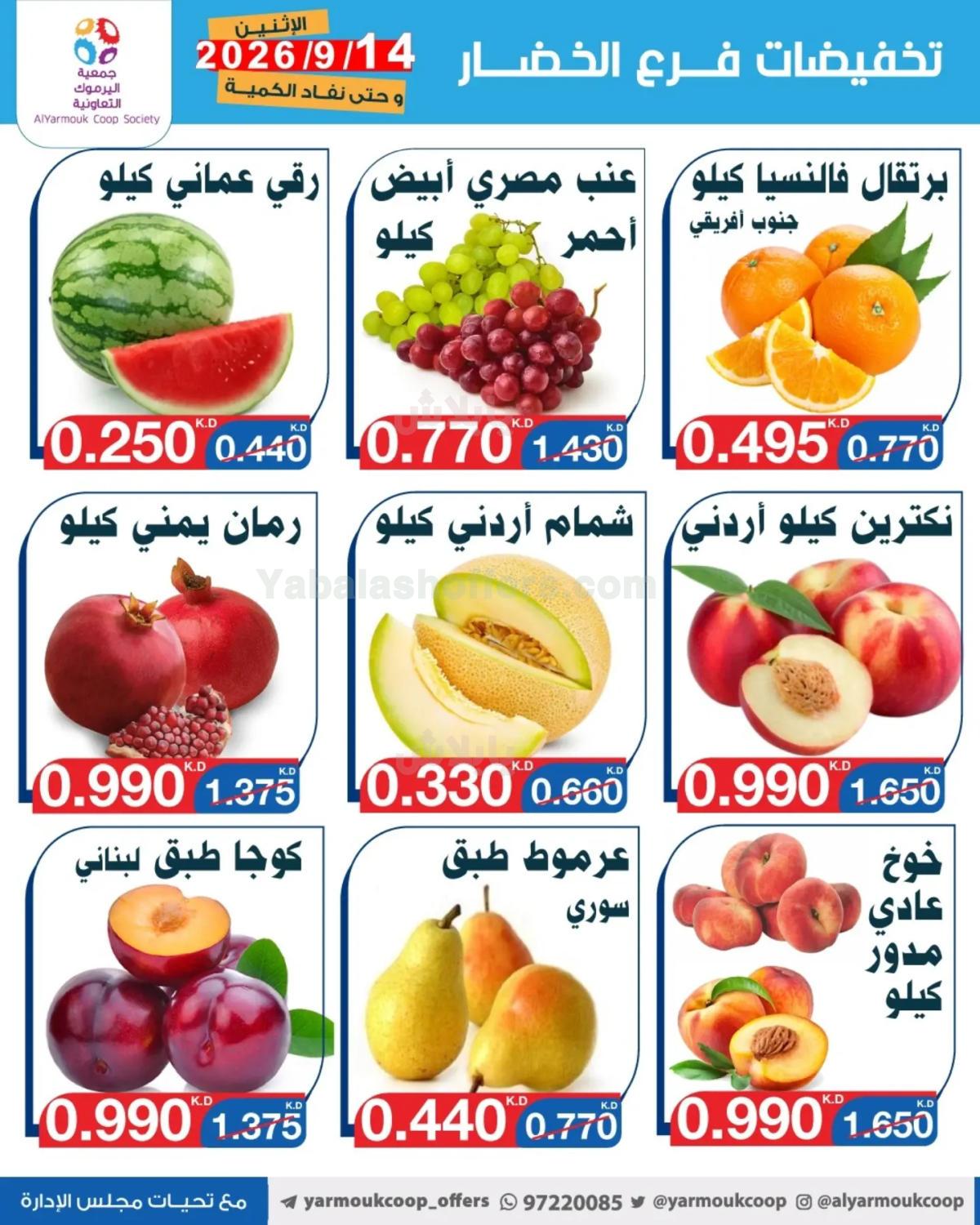 صفحة 5