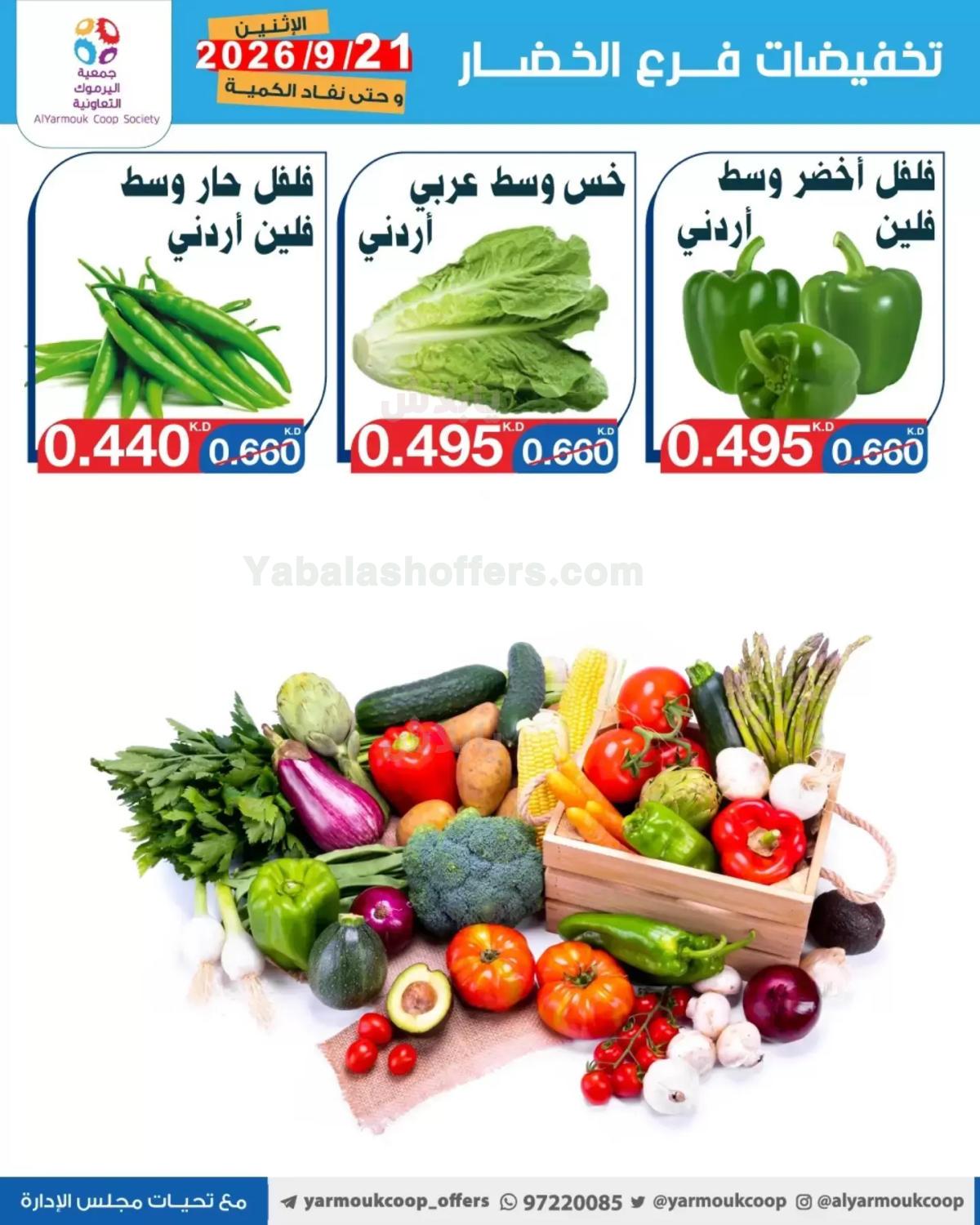 صفحة 4