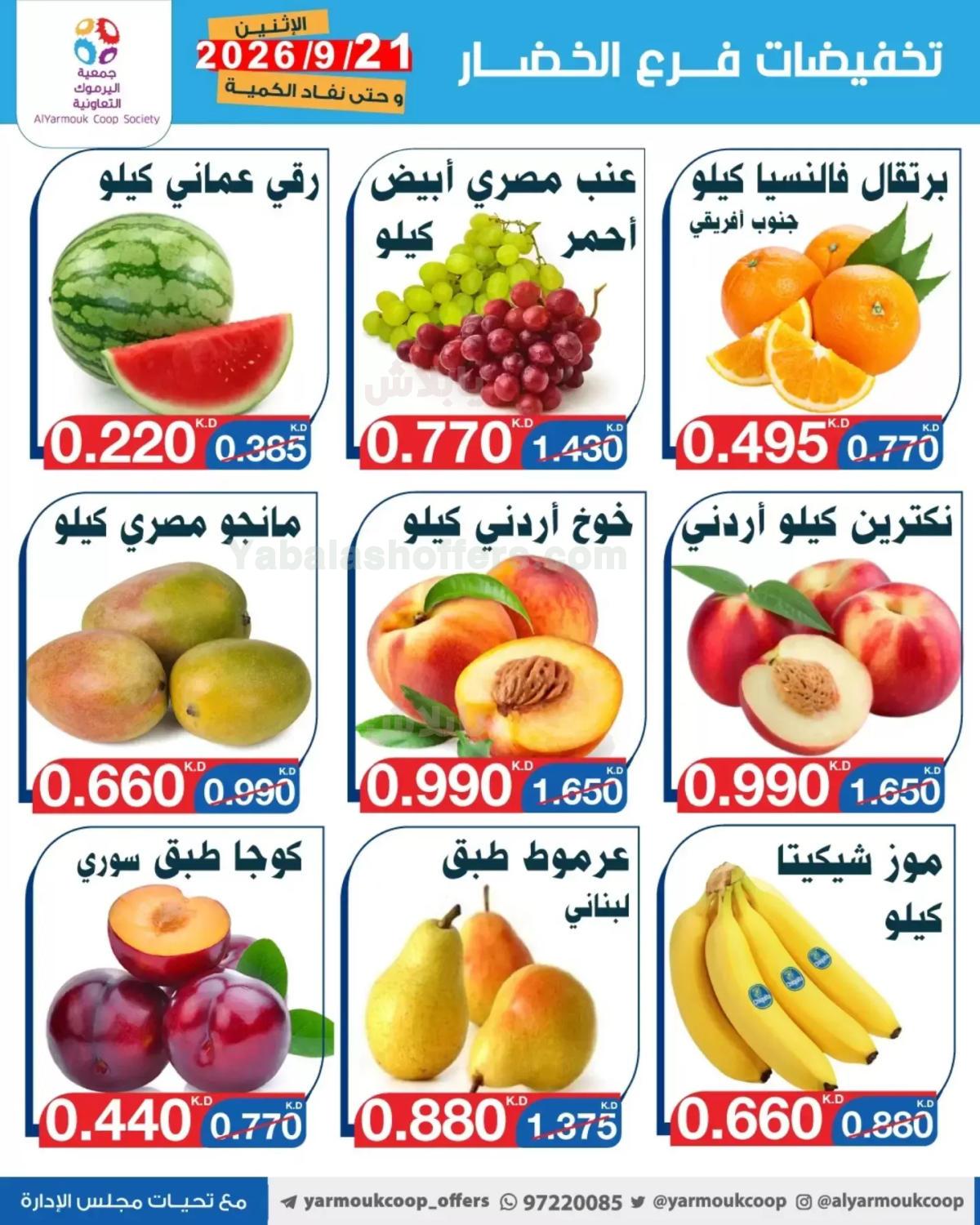 صفحة 5
