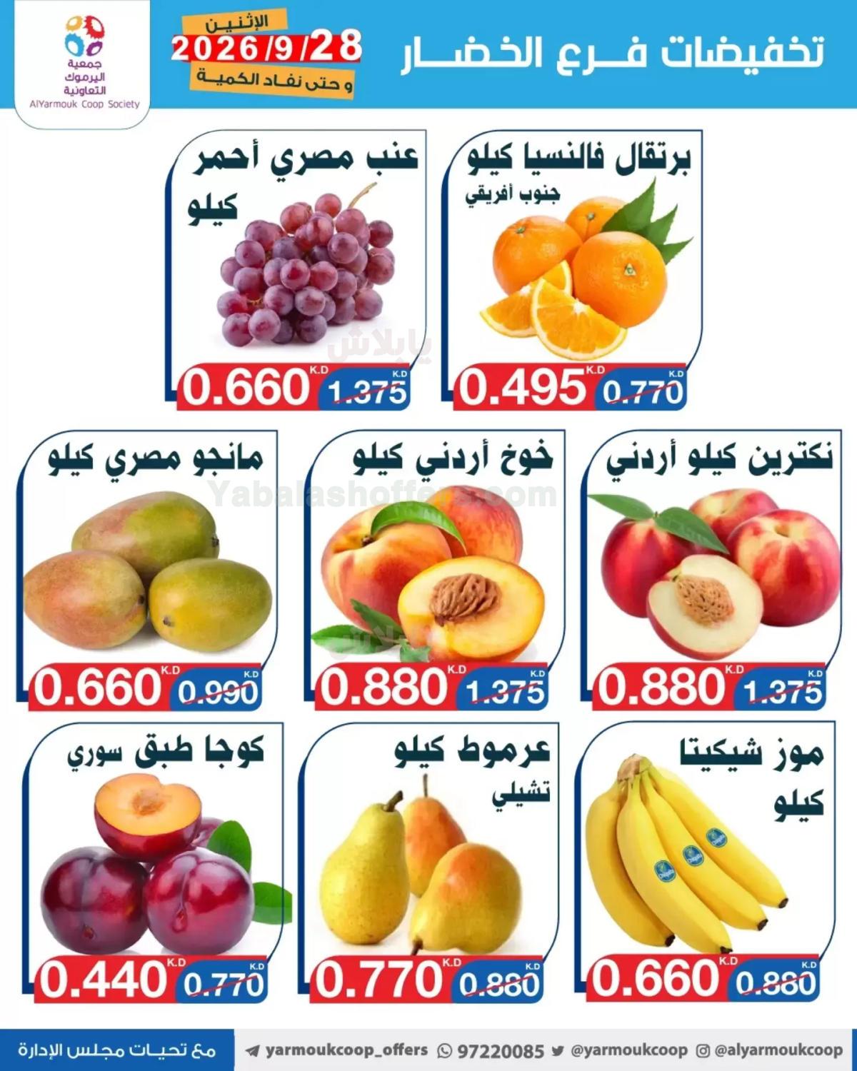 صفحة 4