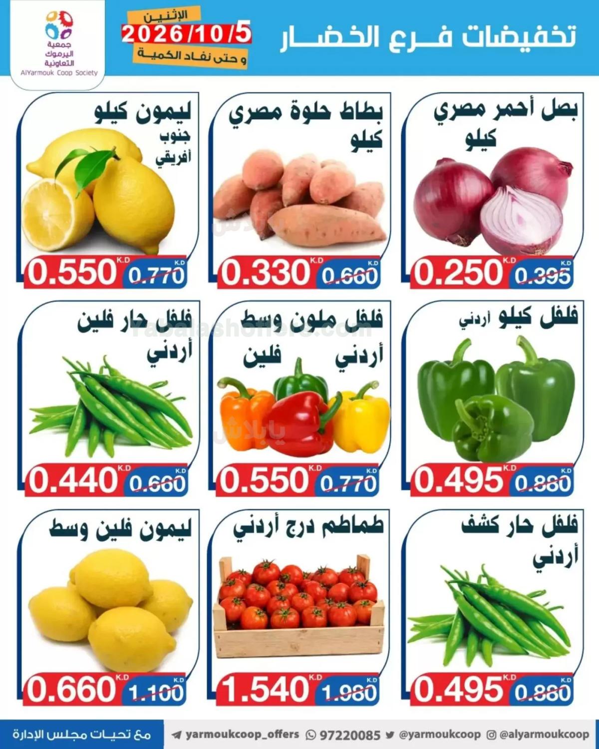 صفحة 2