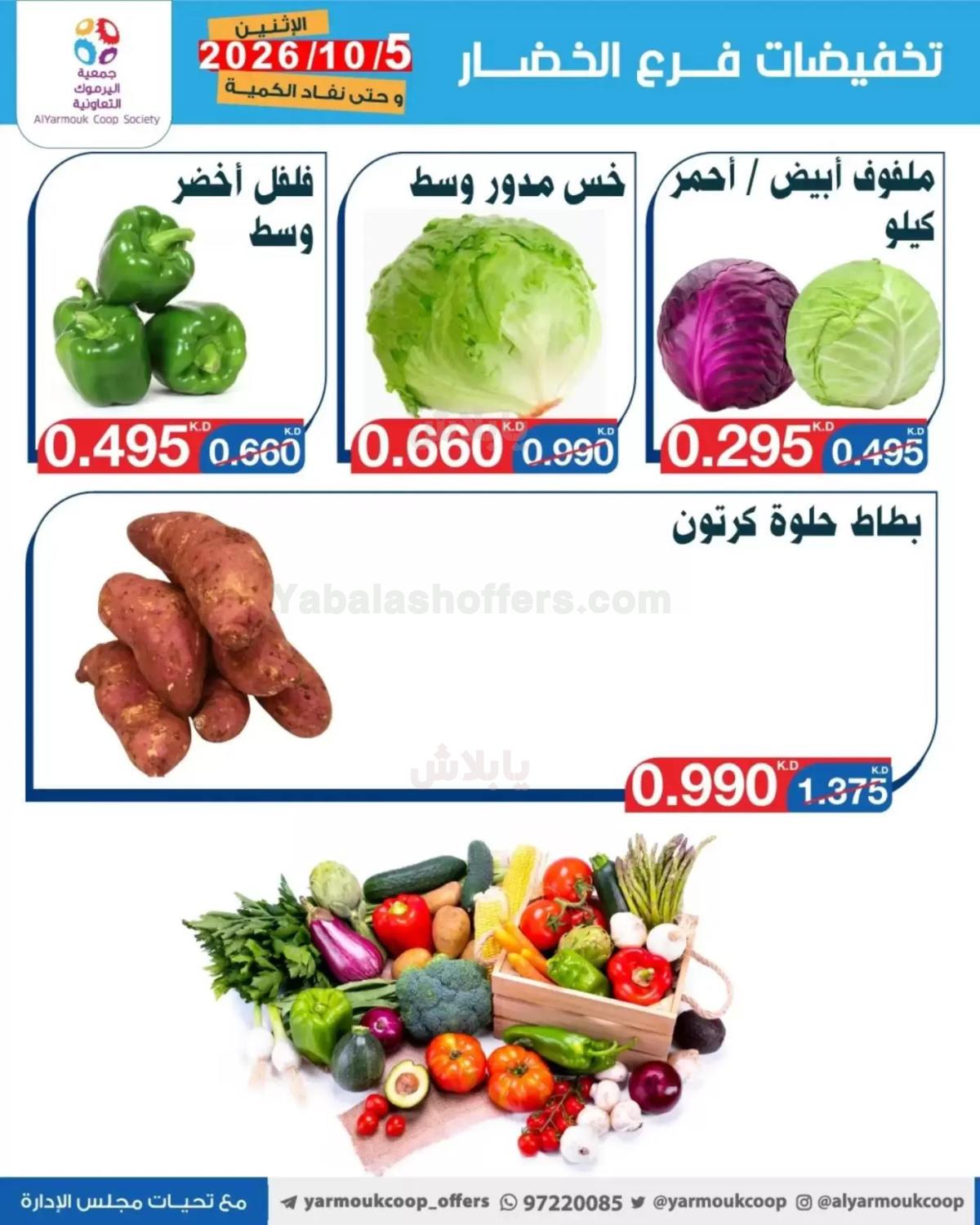 صفحة 3