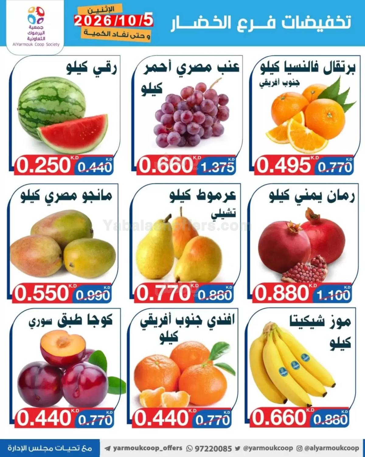 صفحة 4