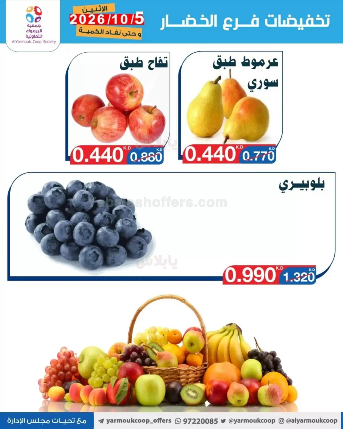 صفحة 5