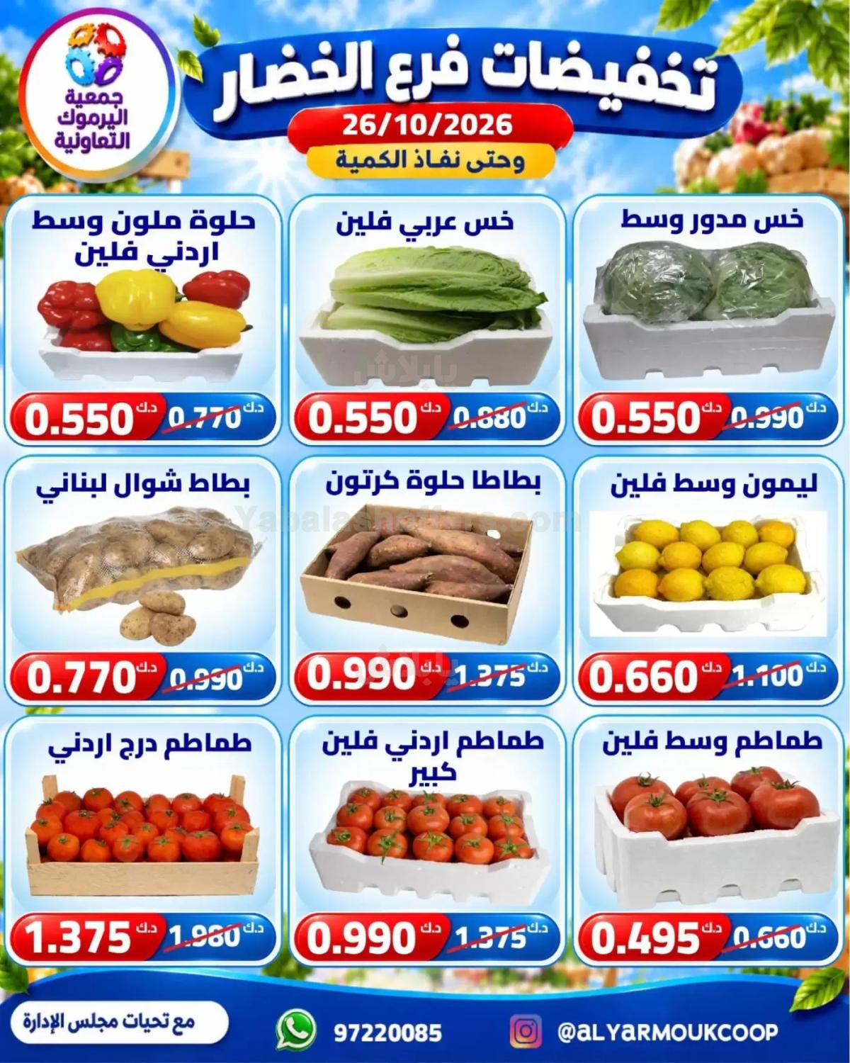 صفحة 3