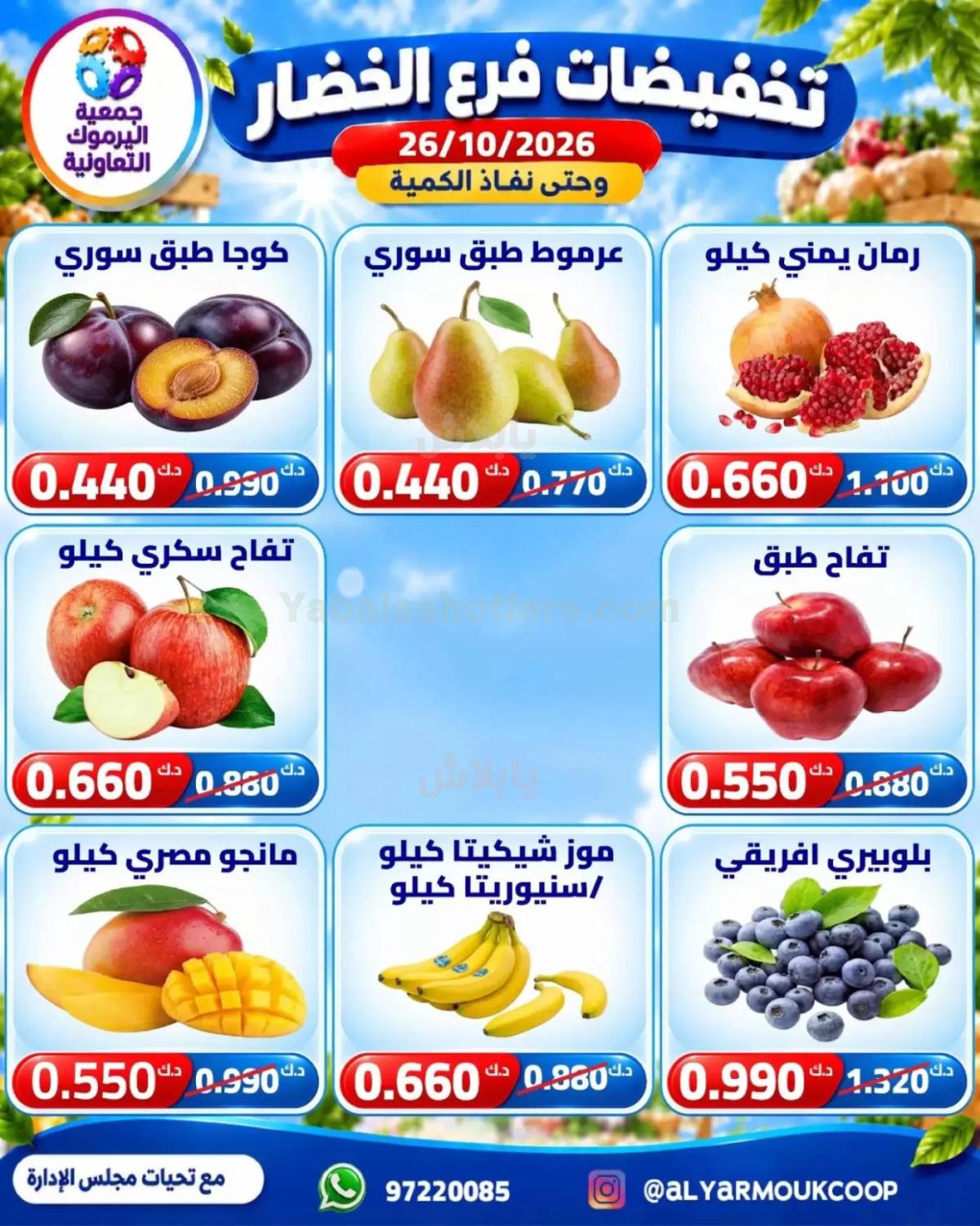 صفحة 5