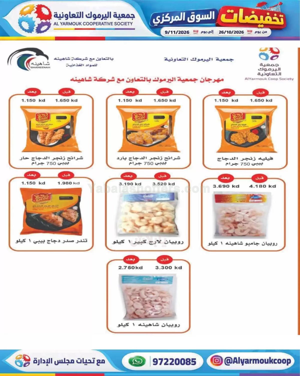 صفحة 11