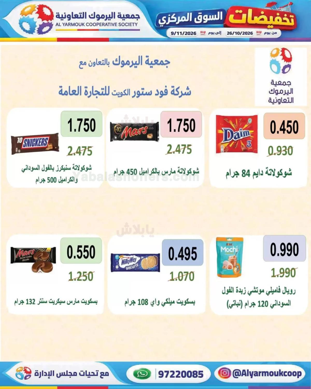 صفحة 13