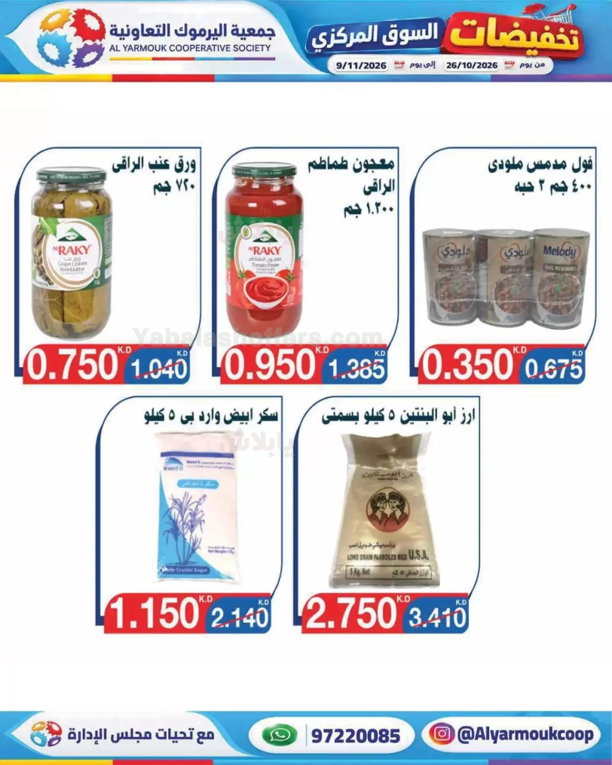 صفحة 19