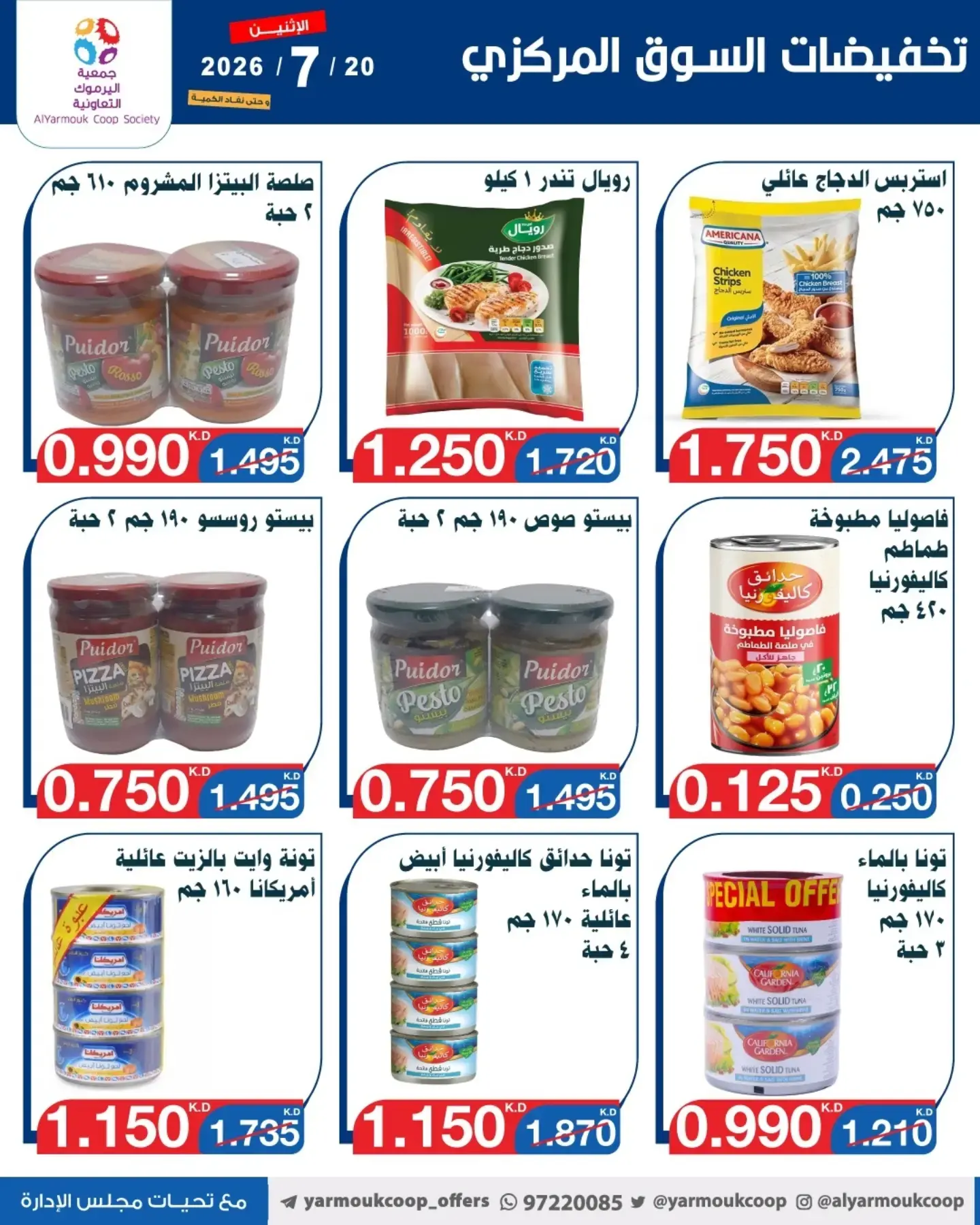 صفحة 8