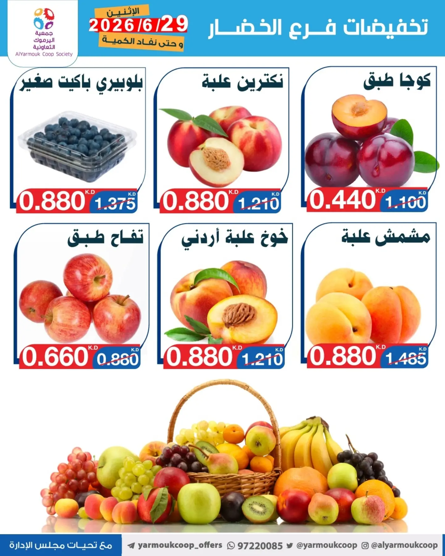 صفحة 4