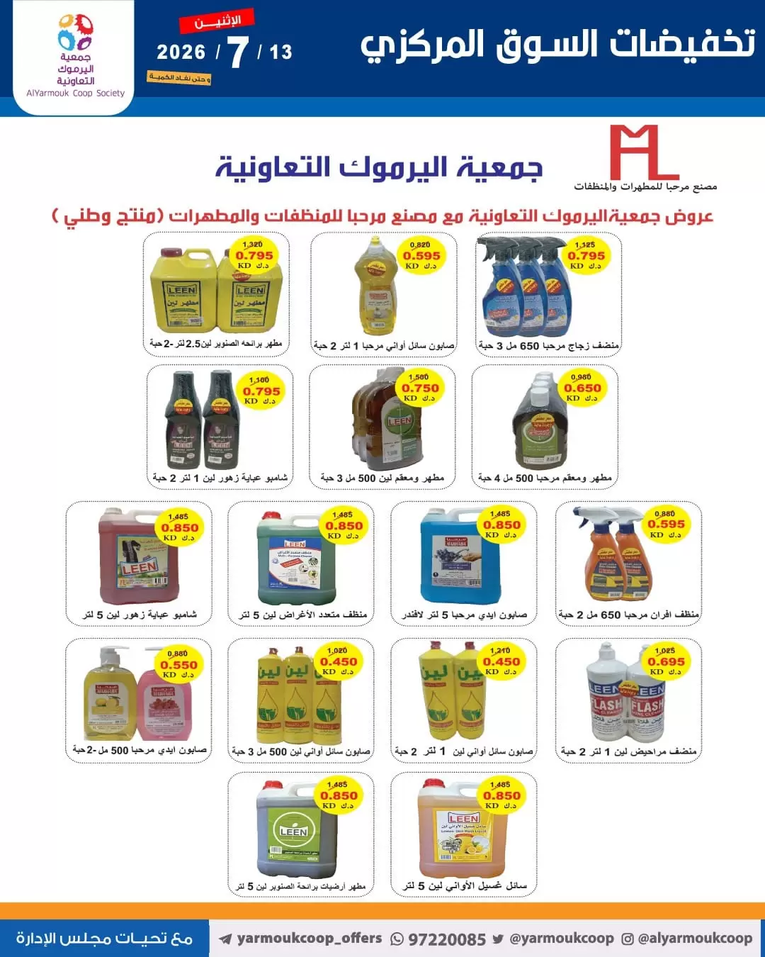 صفحة 13