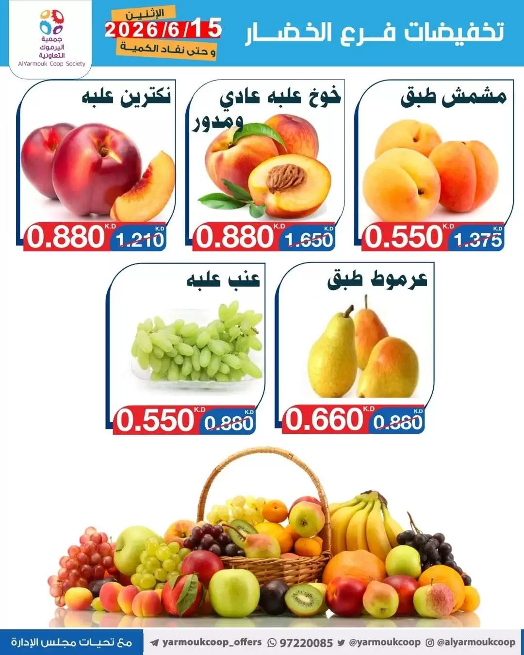 صفحة 4