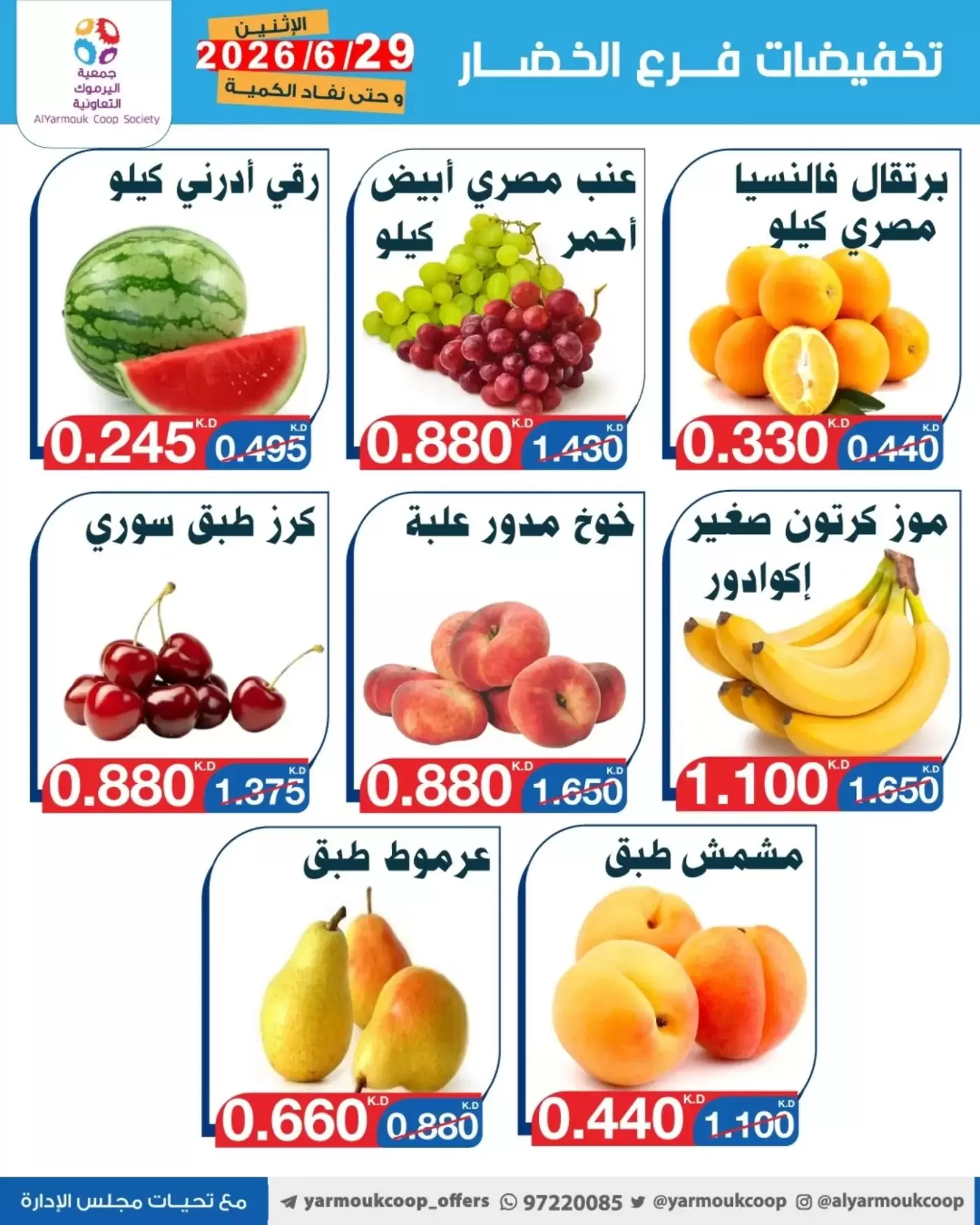 صفحة 4