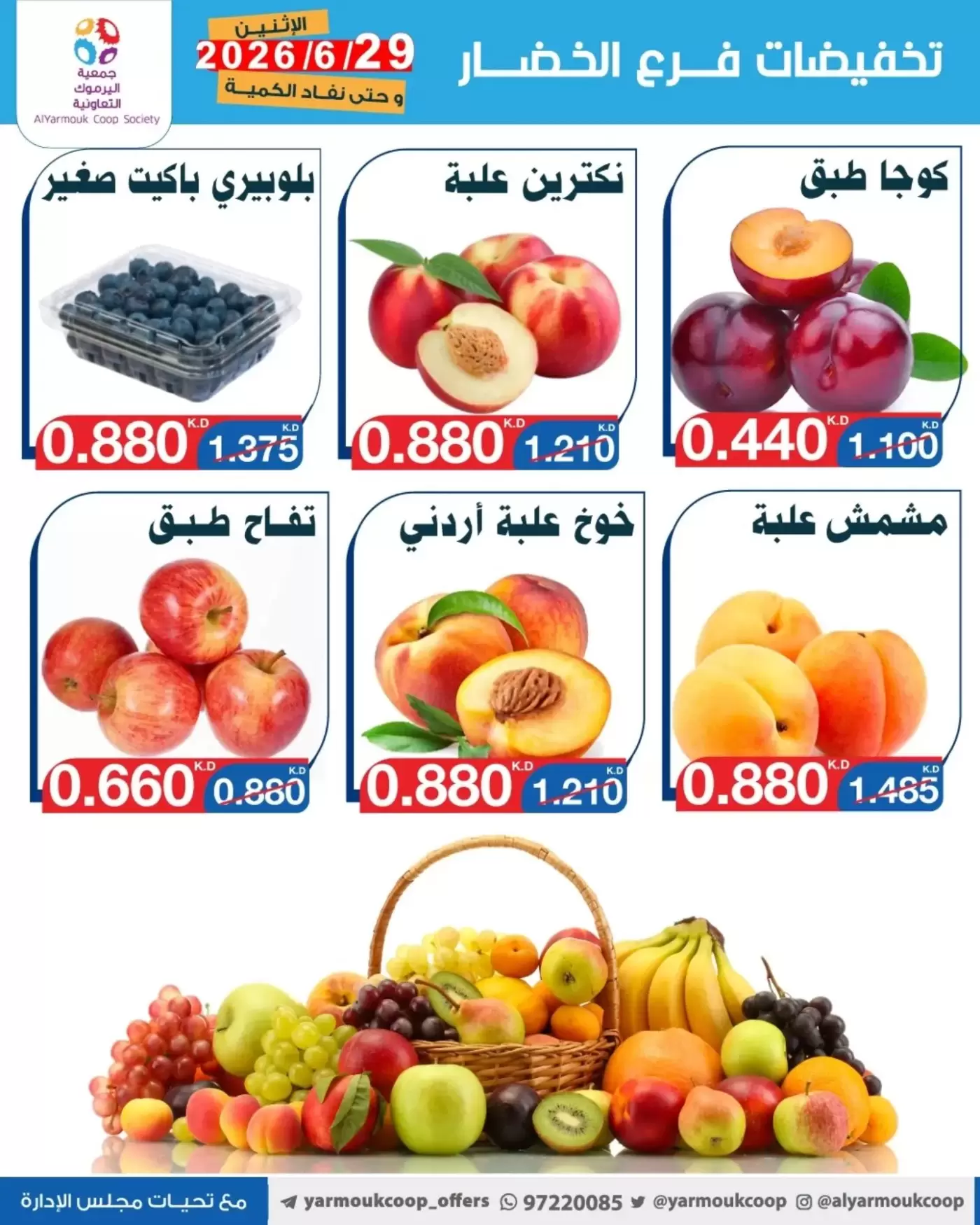 صفحة 5