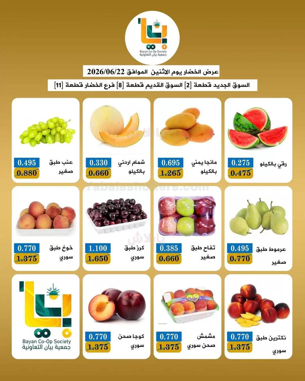 صفحة 3