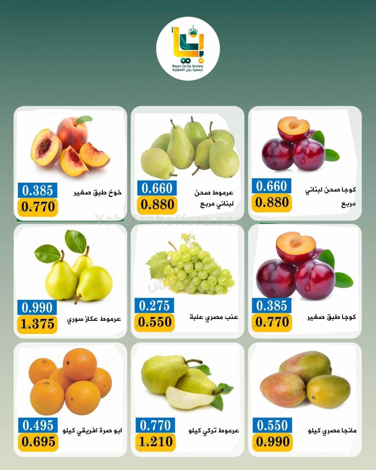 صفحة 3