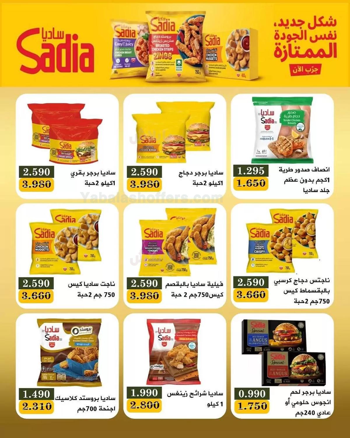 صفحة 2