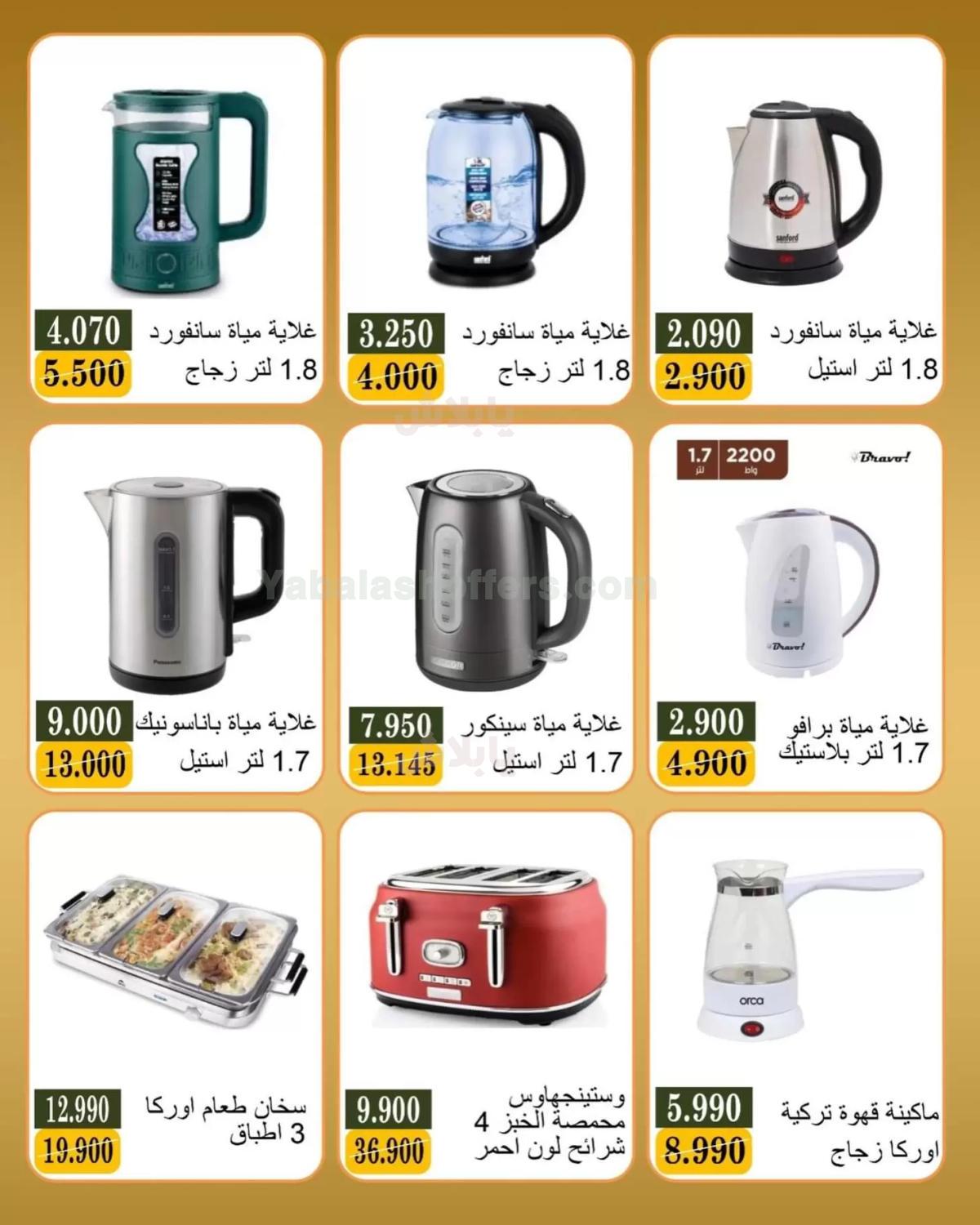 صفحة 13