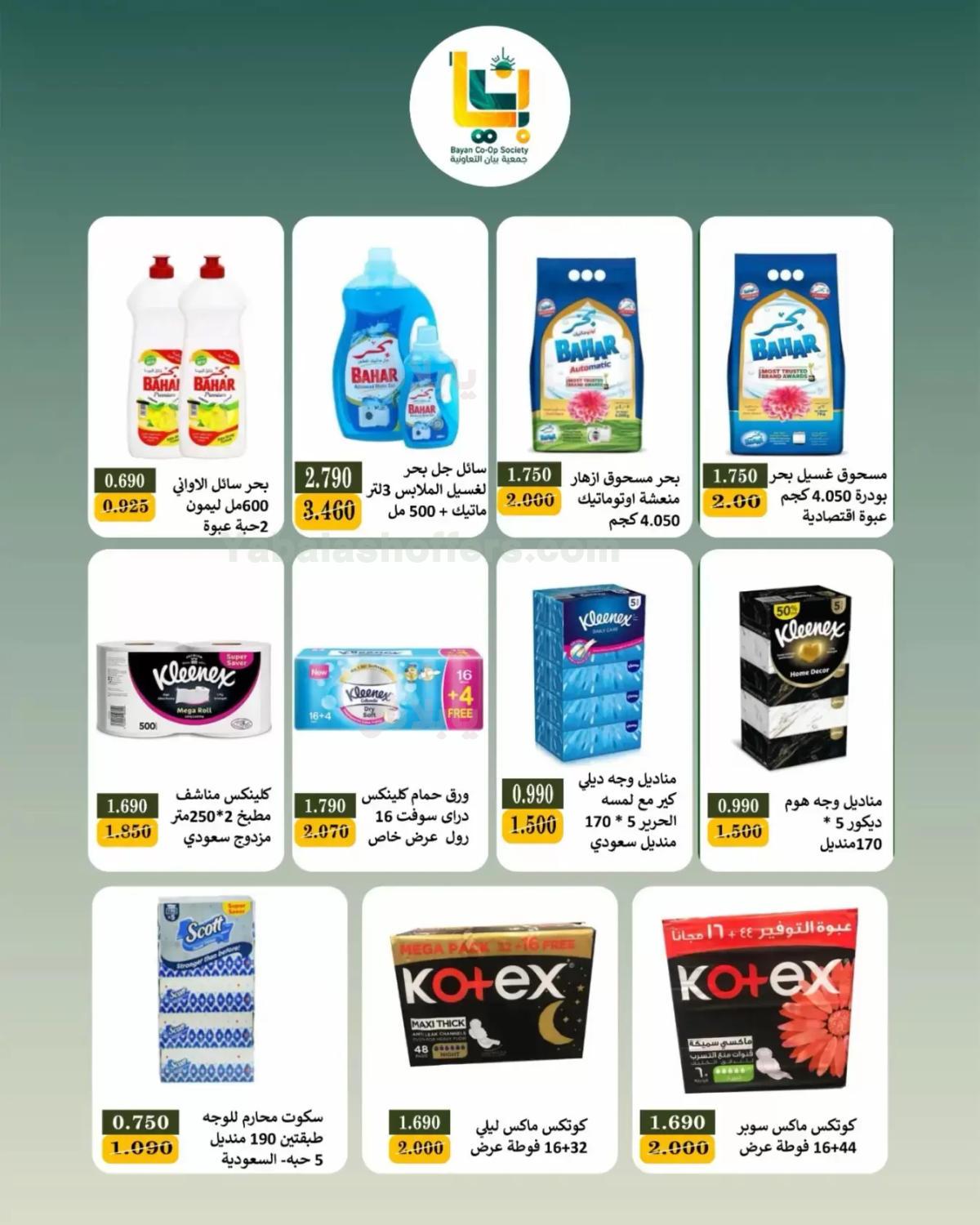 صفحة 13