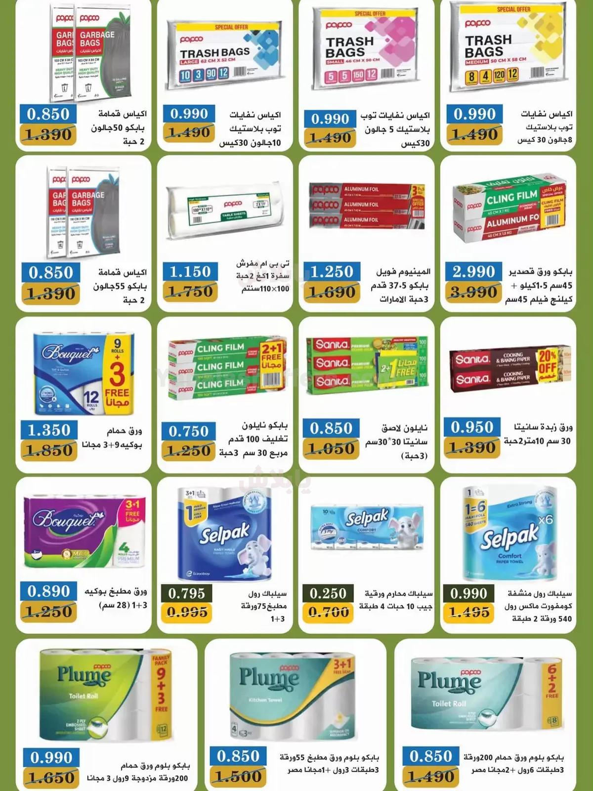 صفحة 19