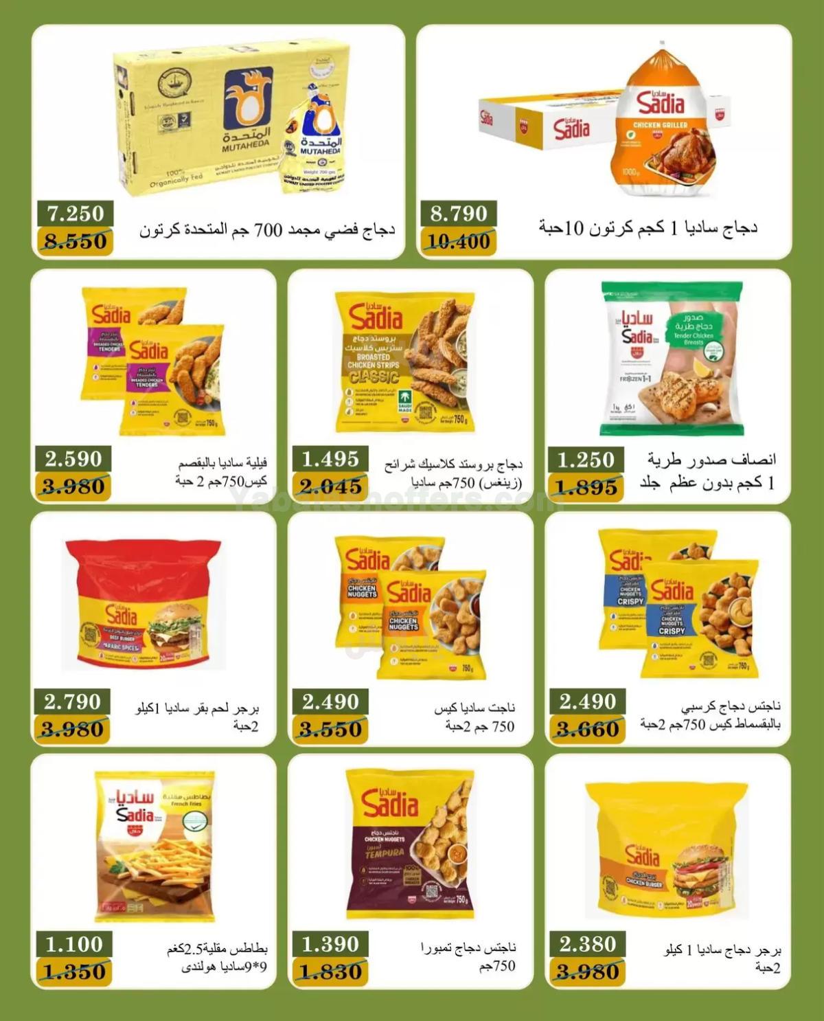 صفحة 3