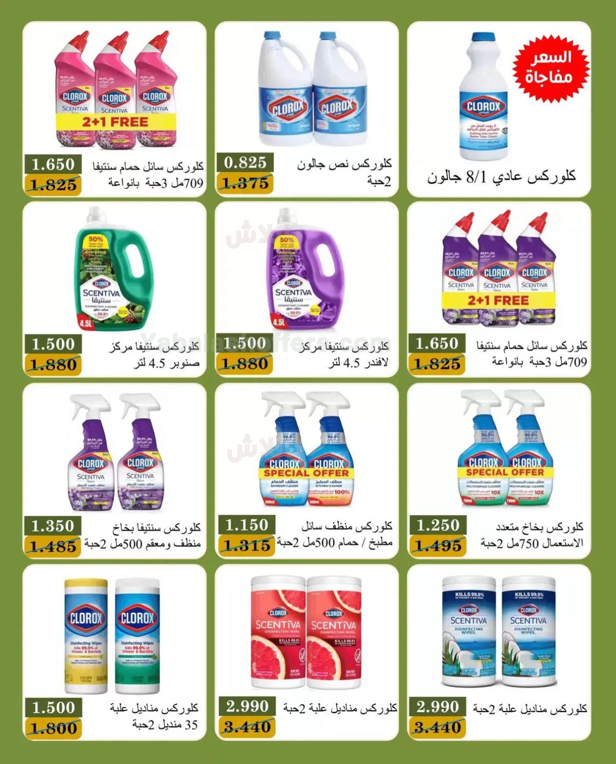 صفحة 4
