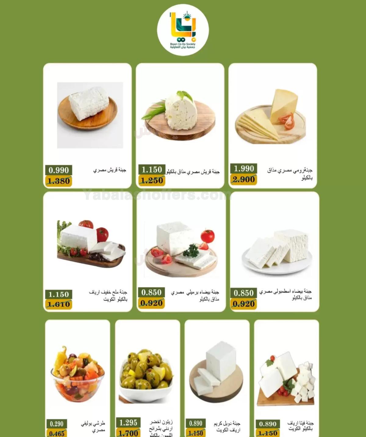 صفحة 13
