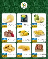 صفحة 10