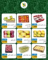 صفحة 11