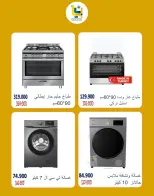 صفحة 13
