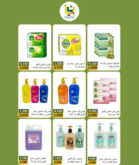 صفحة 13